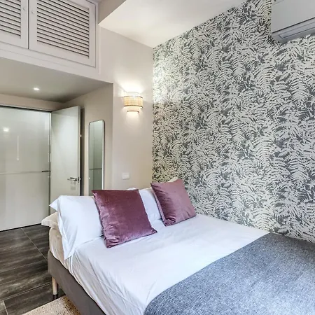Daag Corso Luxury